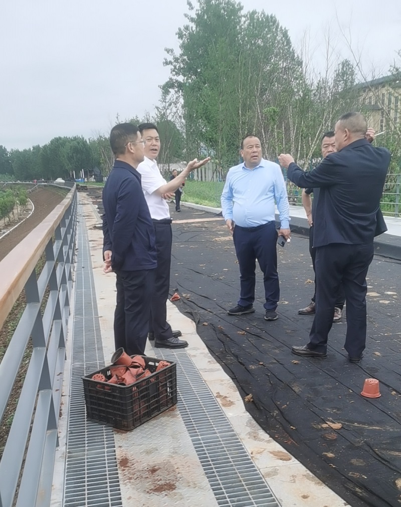 西乡县县委书记李代斌调研西乡县城南防洪排险道路建设项目