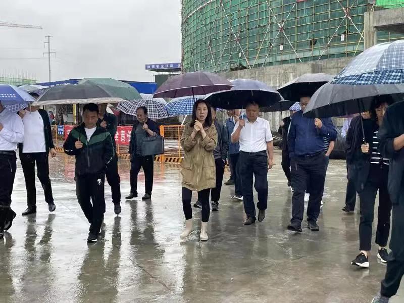 洋县常务副县长晏莉一行对项目进行考察调研